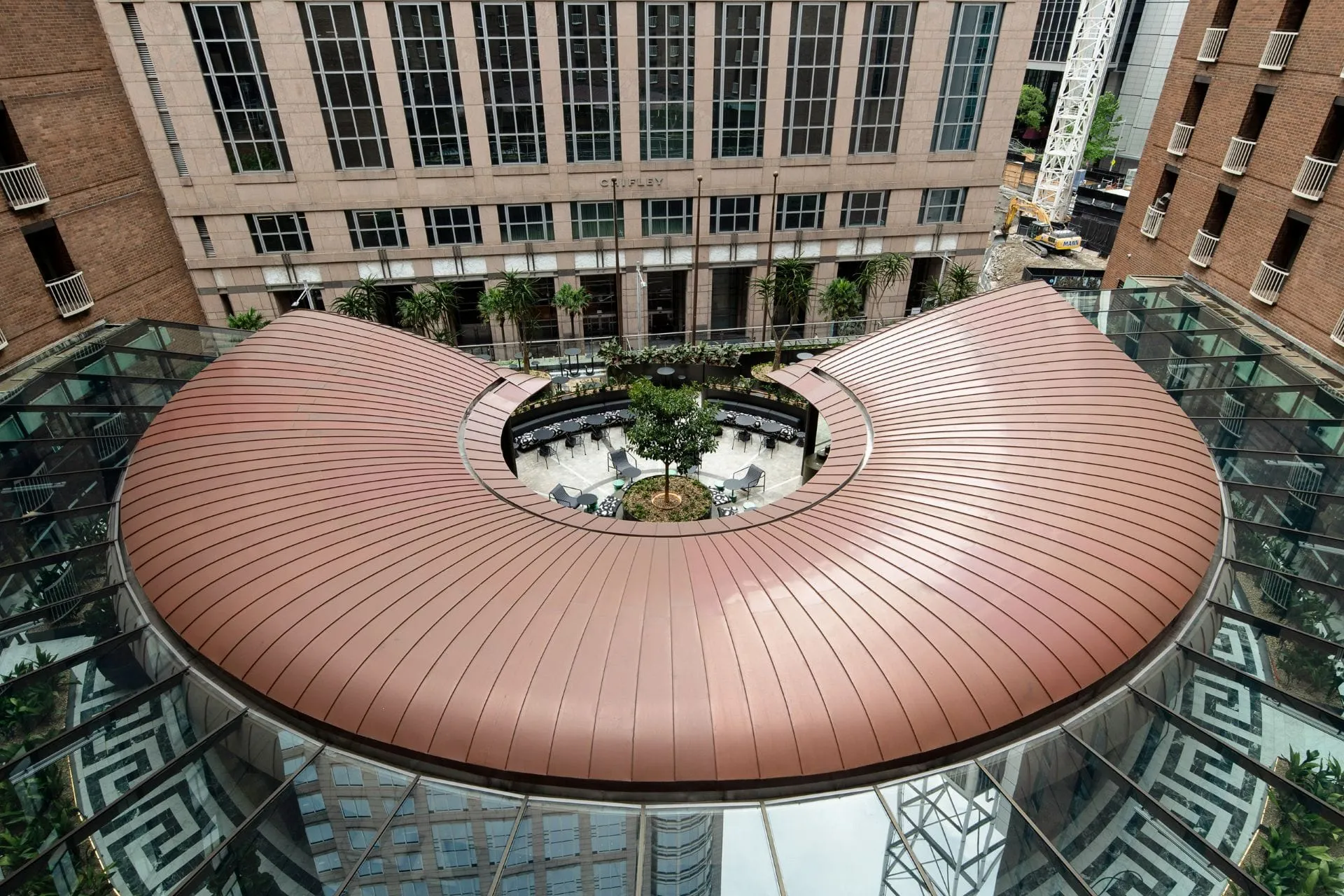 Canopy View from Above